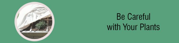 be-careful-with-plants