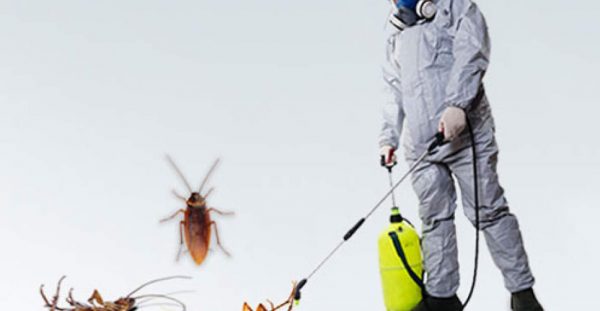 cockroach-control-services