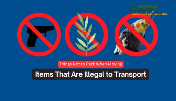 illegal-items-things-to-not-pack-when-moving