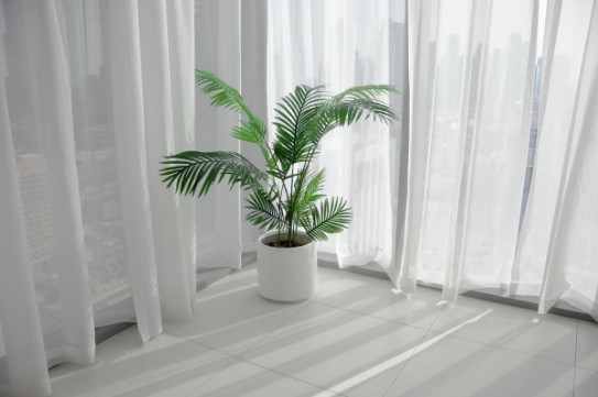 keep-indoor-plants
