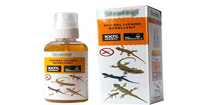 lizard-repellent-spray