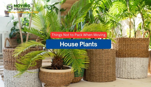 plants-things-to-not-pack-when-moving