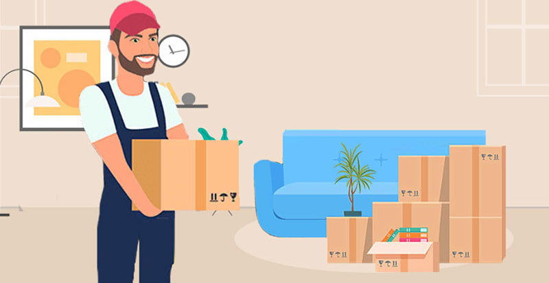 professional packers and movers