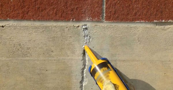 seal-cockroach-entry-points